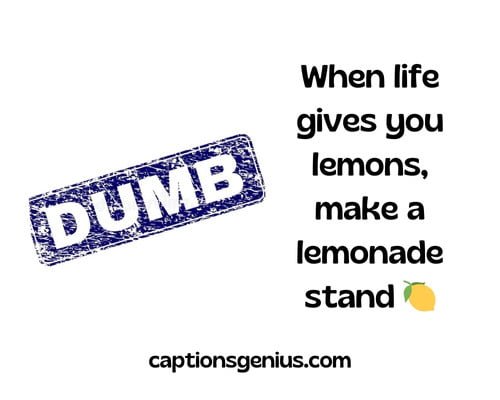 Dumb Captions For Instagram - When life gives you lemons, make a lemonade stand.