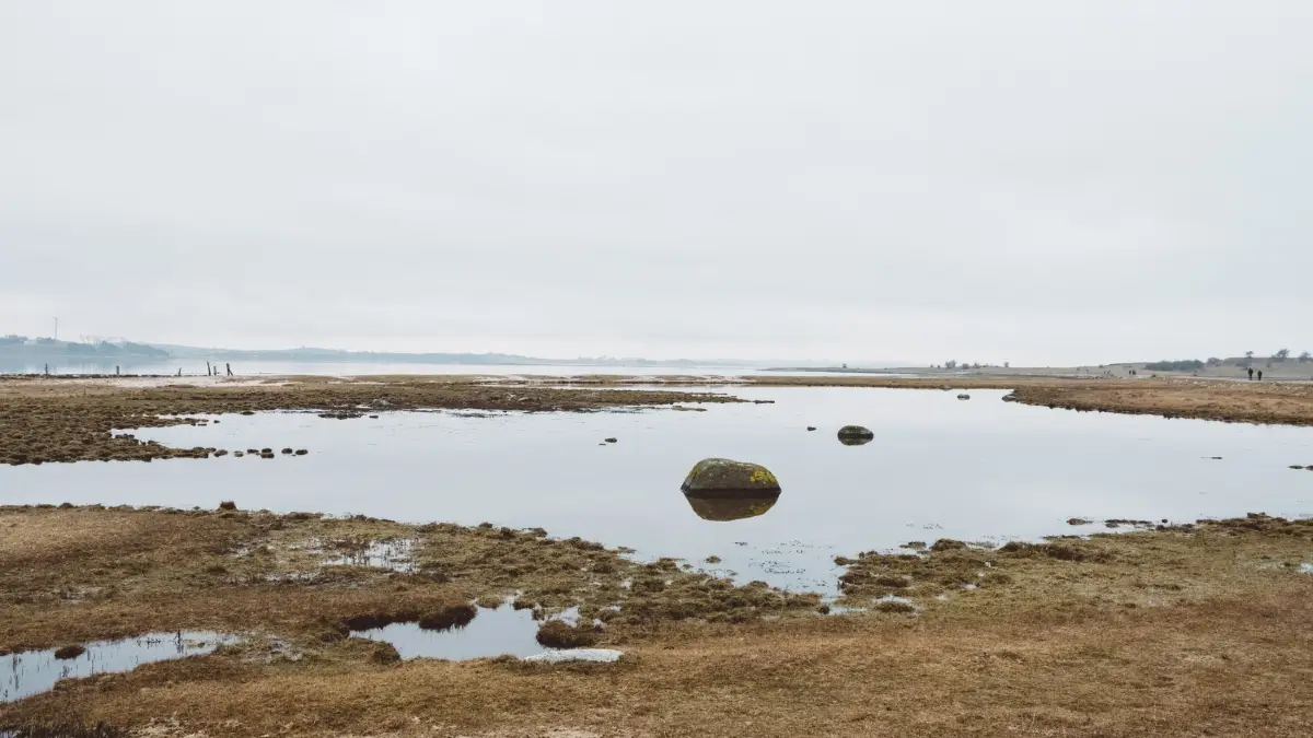 Dumping Gray Water on the Ground Is a Felony in Some States