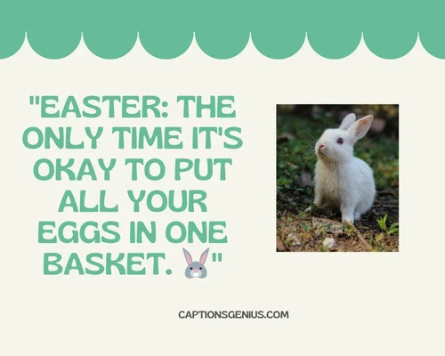 Easter Bunny Captions For Instagram - Easter: The only time it's okay to put all your eggs in one basket.