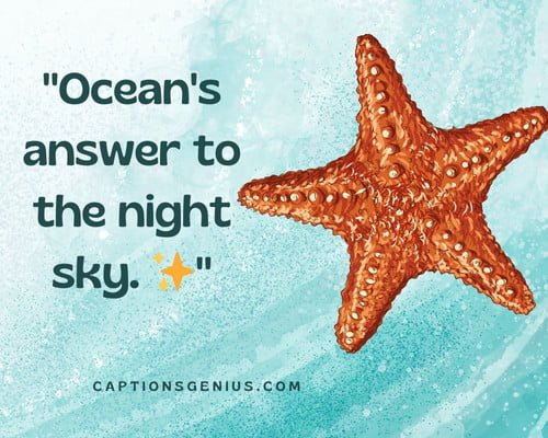 Engaging Starfish Instagram Captions - Ocean's answer to the night sky.