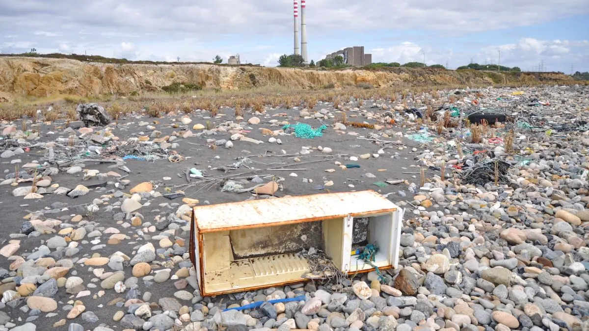 Environmental Concerns About Increased Visitation