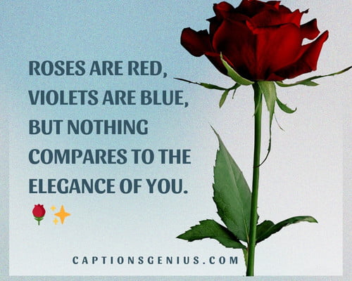 Favourite Rose Captions For Instagram - . Roses are red, violets are blue, but nothing compares to the elegance of you. 