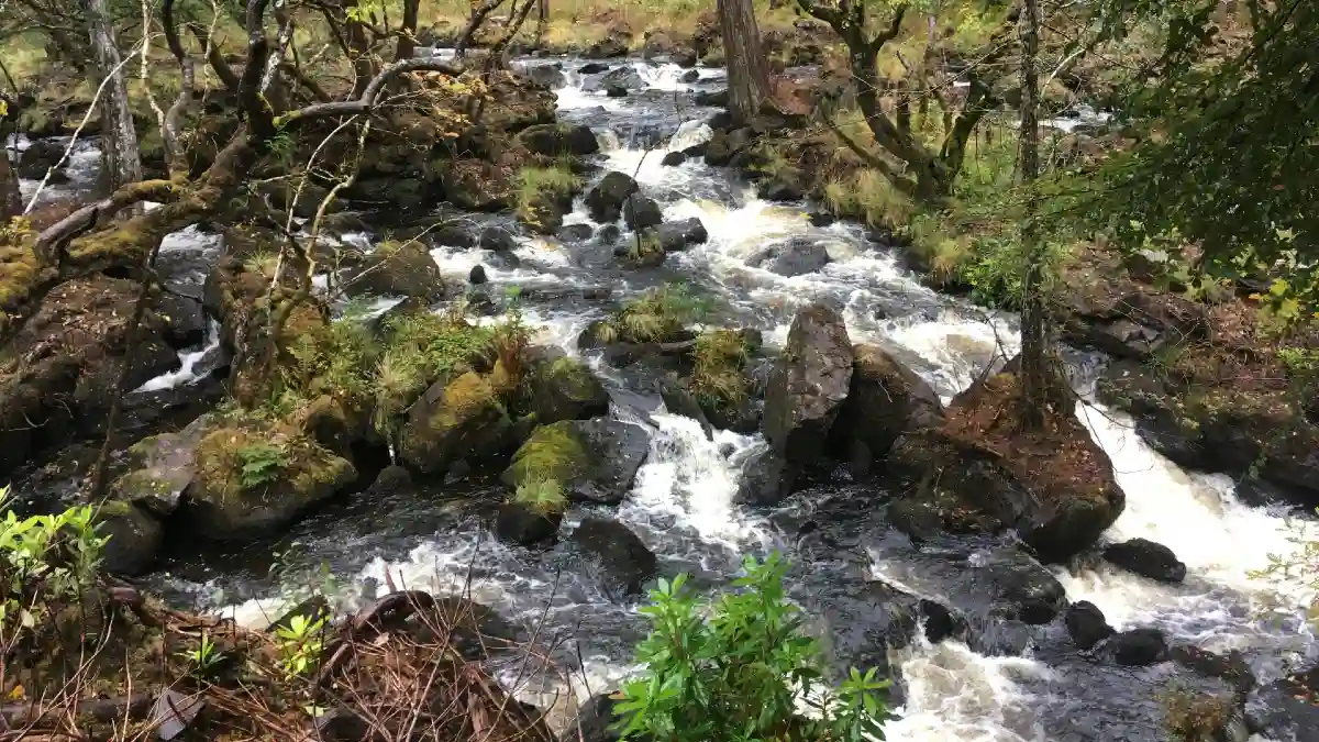 Finnich Glen, Scotland