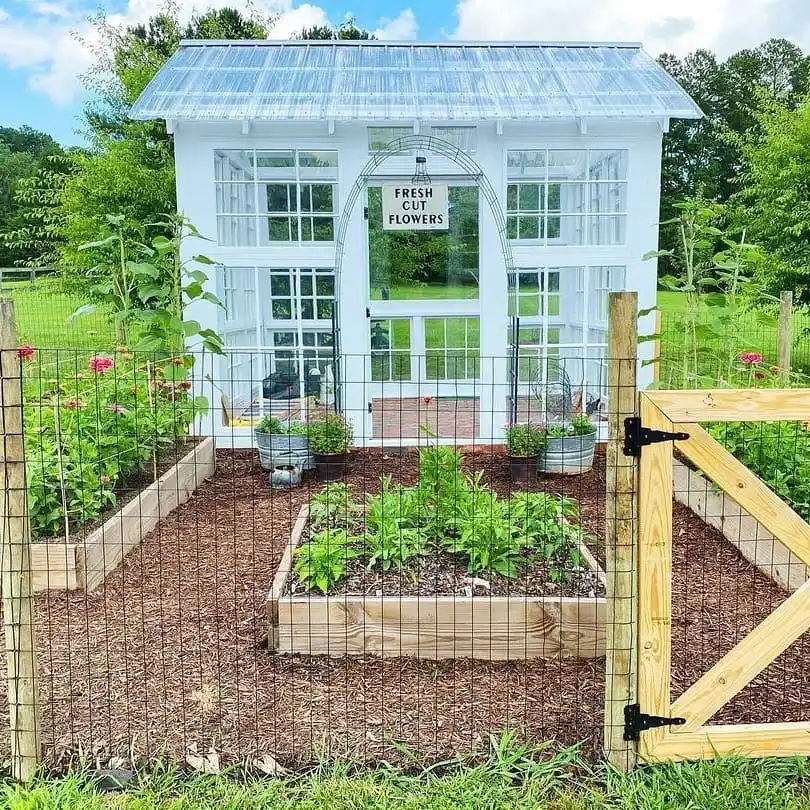 Fresh Cut Flower Greenhouse
