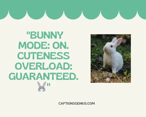Funny Bunny Captions For Instagram - Bunny mode: ON. Cuteness overload: GUARANTEED