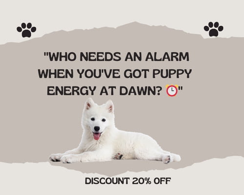 Funny New Puppy Instagram Captions - Who needs an alarm when you've got puppy energy at dawn.