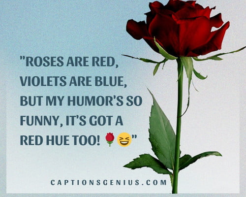 Funny Rose Captions For Instagram - Roses are red, violets are blue, but my humor's so funny, it's got a red hue too!
