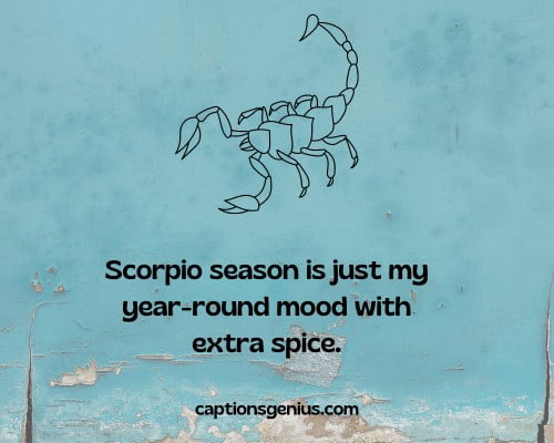Funny Scorpio Captions For Instagram - Scorpio season is just my year-round mood with extra spice.