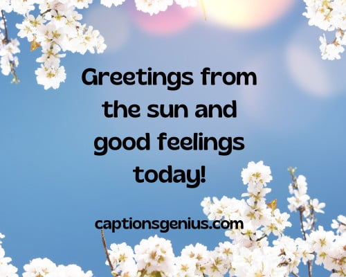 Funny Spring Captions For Instagram - Greetings from the sun and good feelings today.