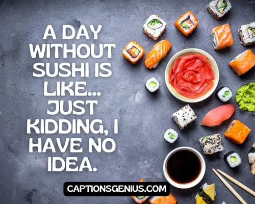 Funny Sushi Captions For Instagram - A day without sushi is like... just kidding, I have no idea.