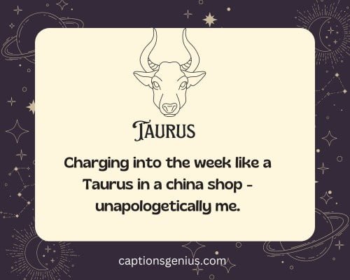 Funny Taurus Captions For Instagram - Charging into the week like a Taurus in a china shop - unapologetically me. 