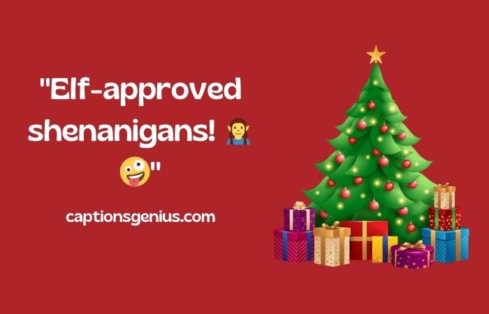 Funny Christmas Captions For Instagram