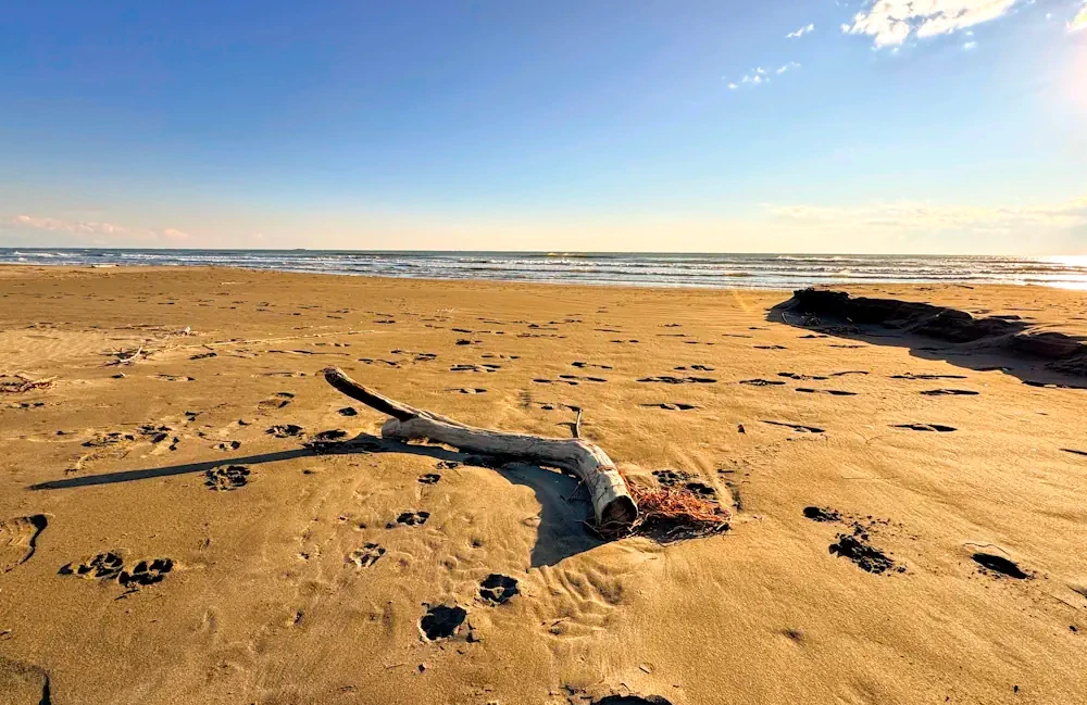 Get Miles Of Sand For Less In Ulcinj, Montenegro
