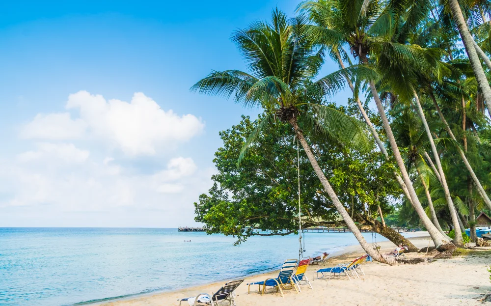 Get Tropical Beach Views For Less In Mirissa