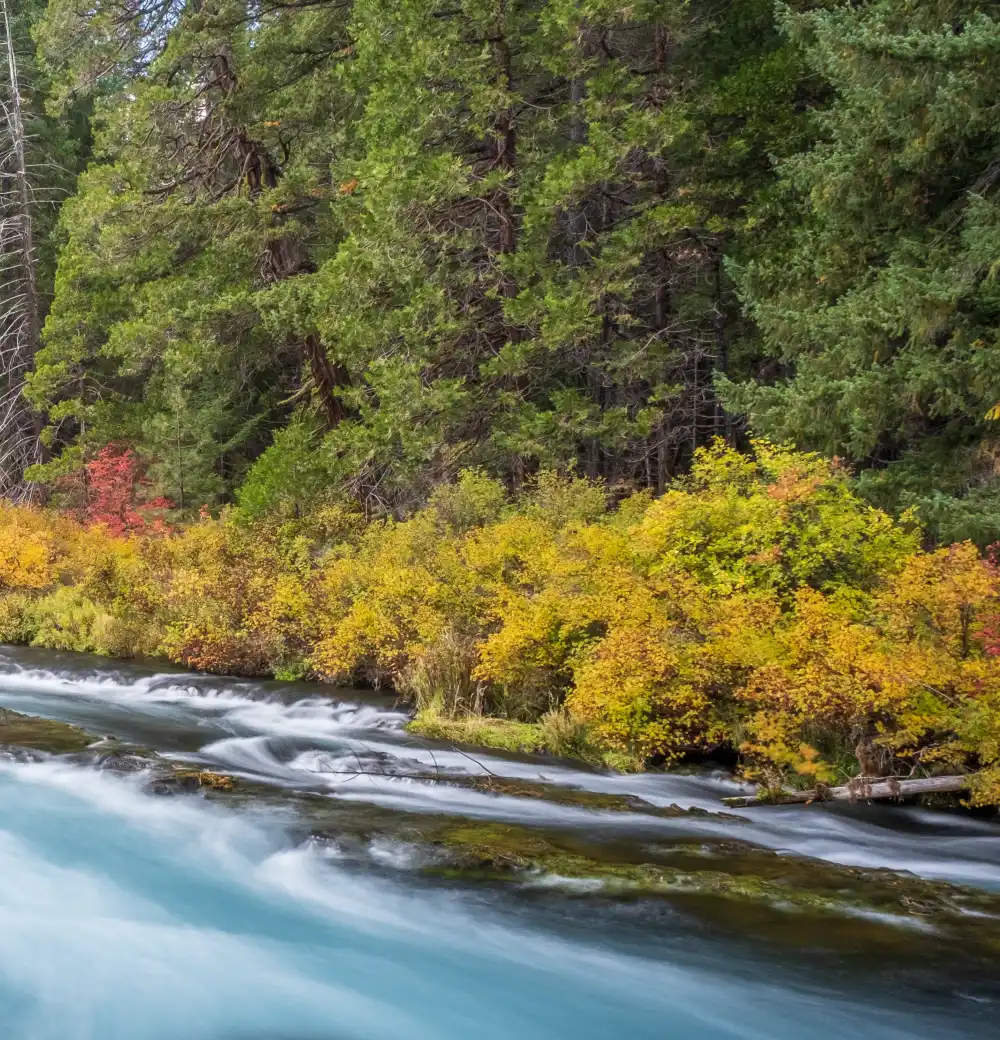 5. Glacier National Park - Flathead National Forest
