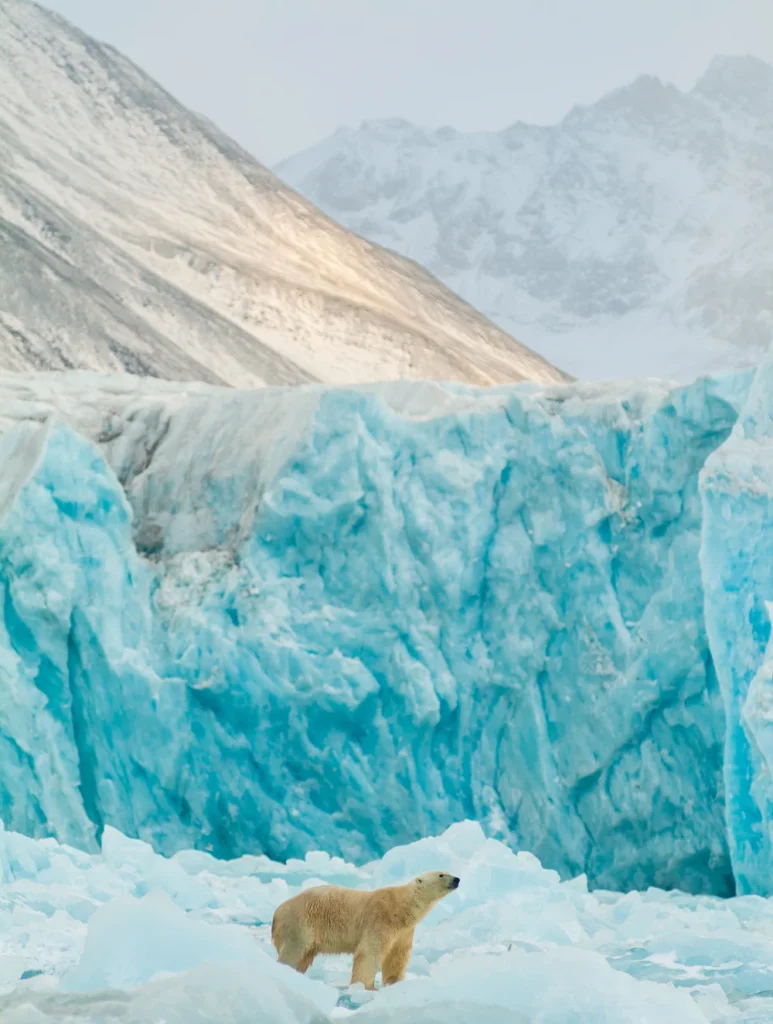 Glacier's Frozen Access Points