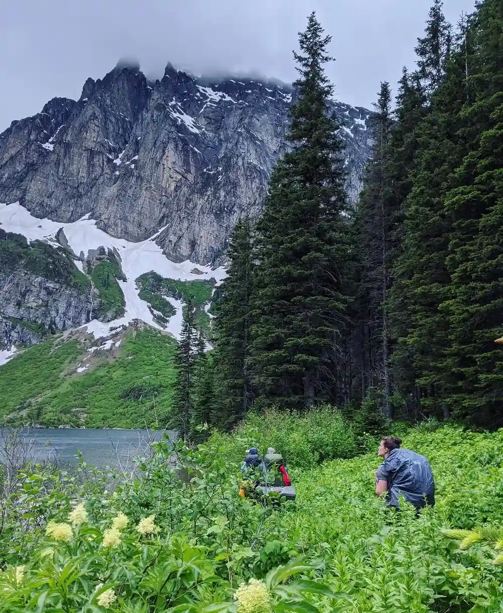 Glacier's Traffic Jams vs. Cabinet Mountains' Solitude
