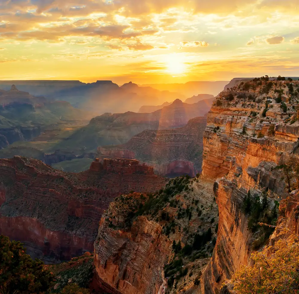 Grand Canyon - Kaibab National Forest