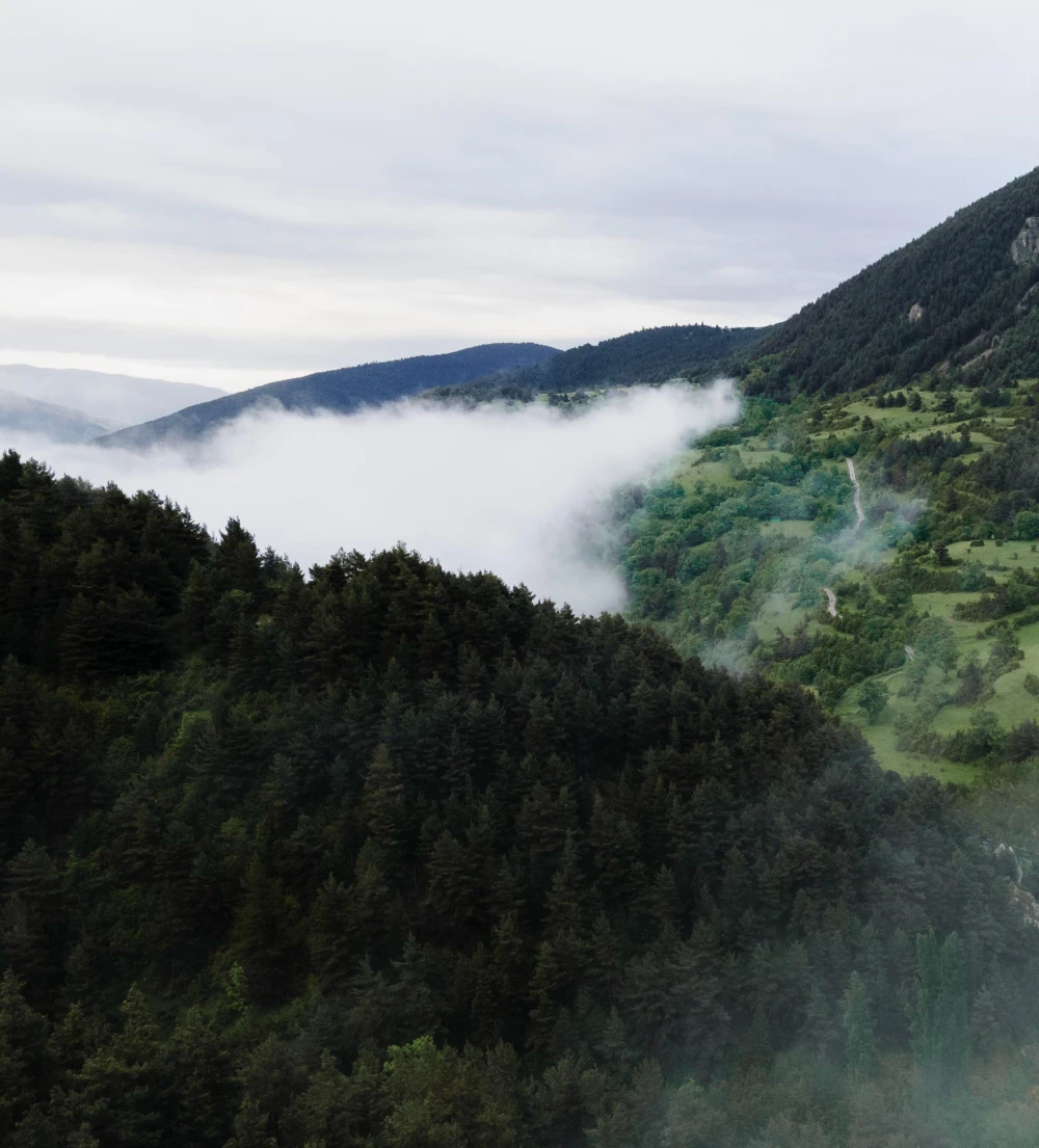 Great Smoky Mountains - Cherokee and Pisgah National Forests