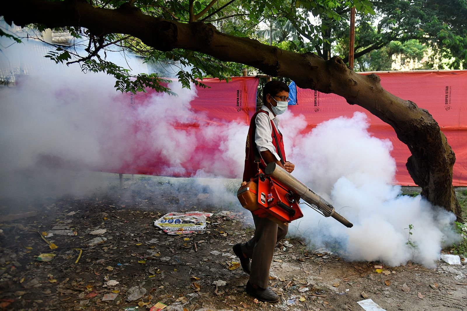 Hidden Dangers in Paradise A Traveler's Guide to Southeast Asia's Disease Vectors Hidden Dangers in Paradise A Traveler's Guide to Southeast Asia's Disease Vectors