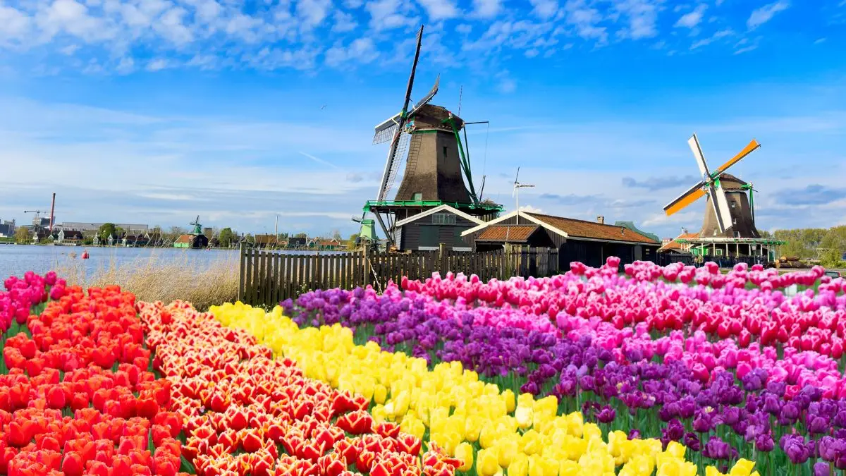 Holland, Michigan - Dutch Heritage and Tulip Festivals