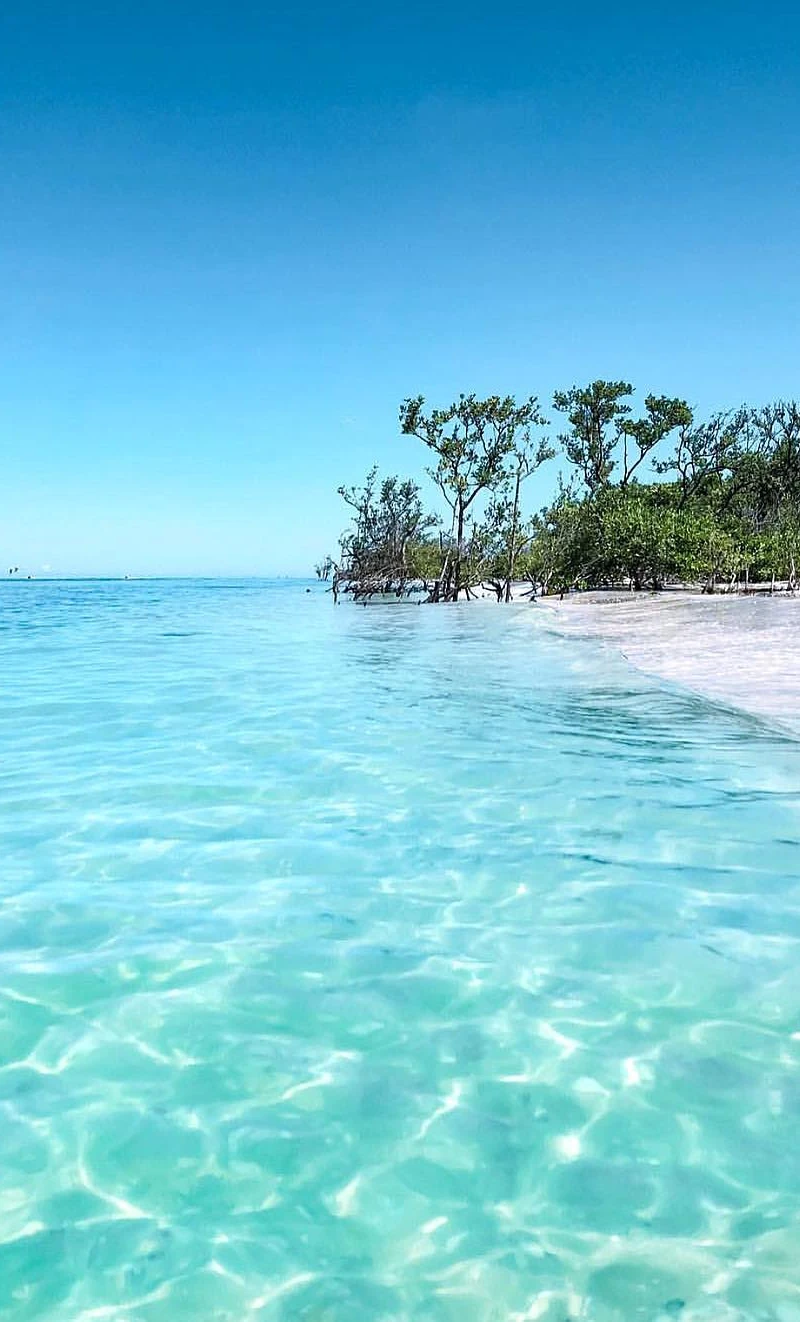 Honeymoon Island State Park, Florida
