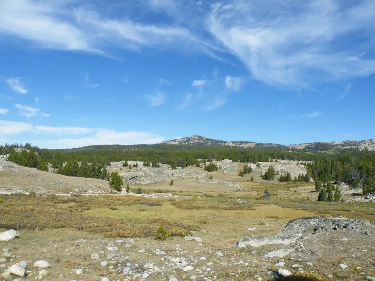 How to Camp in Bighorn National Forest Without Picking the Wrong Road How to Camp in Bighorn National Forest Without Picking the Wrong Road