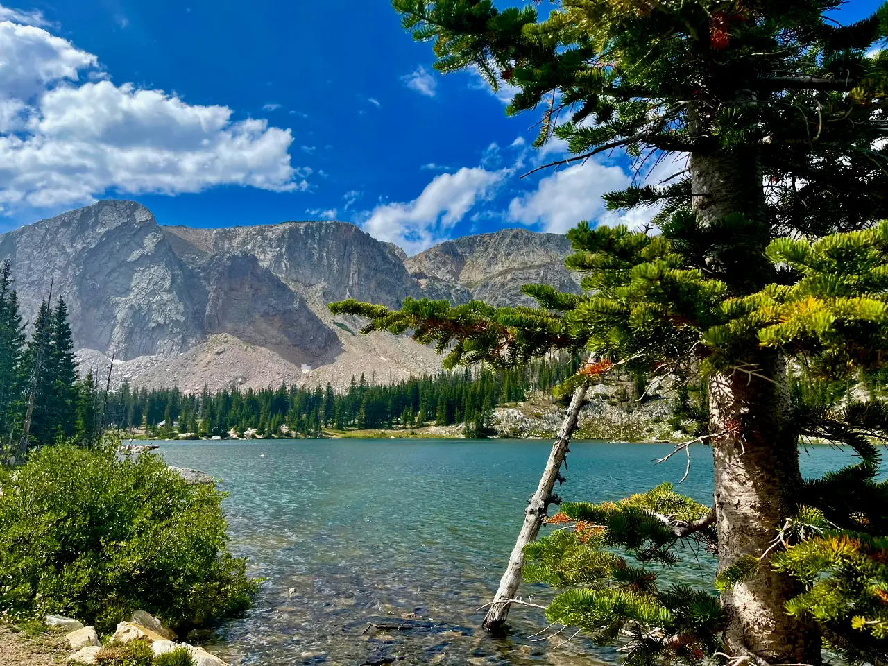 How to Find Cooler Summer Camping in Medicine Bow and Routt How to Find Cooler Summer Camping in Medicine Bow and Routt