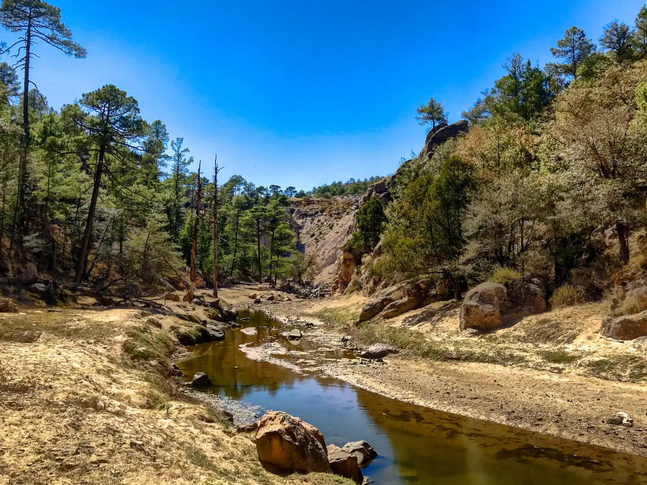 How to Find Real Space in Gila National Forest How to Find Real Space in Gila National Forest
