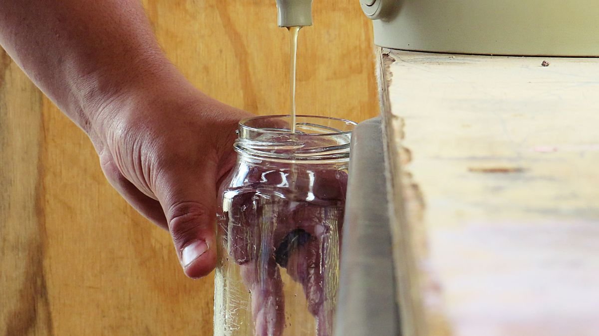 How to Use Compost Tea for a Spring Nutrient Boost