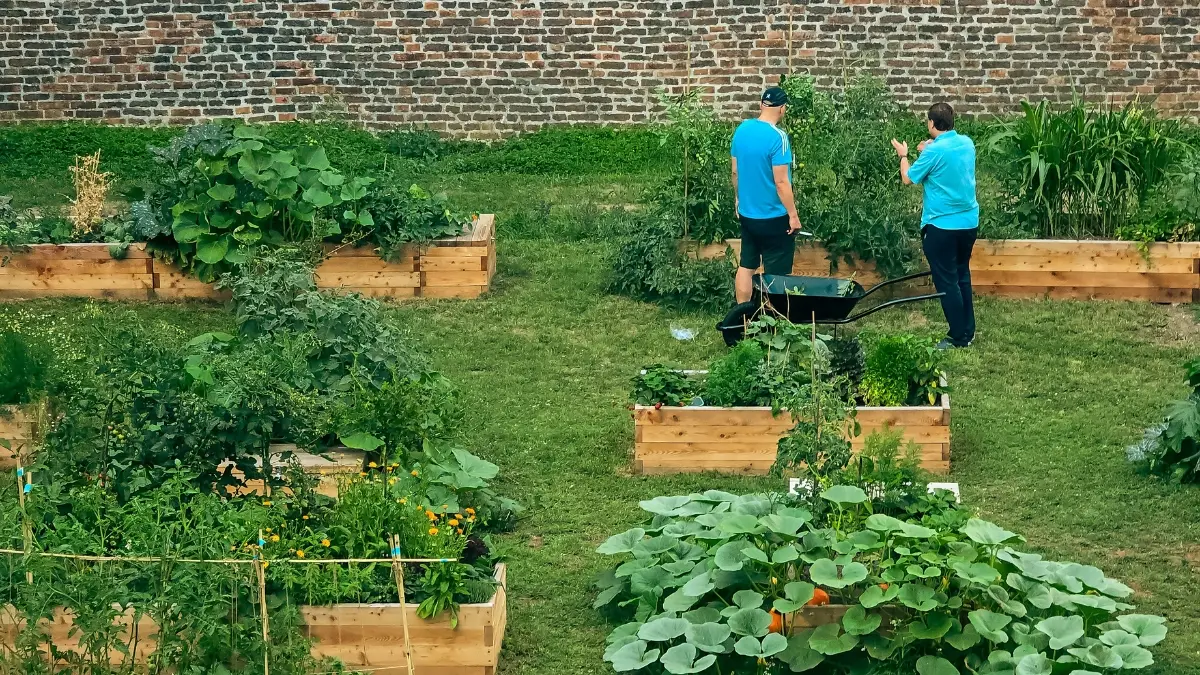 I Lived Off-Grid for 3 Years — These 12 Lies Nearly Broke Me