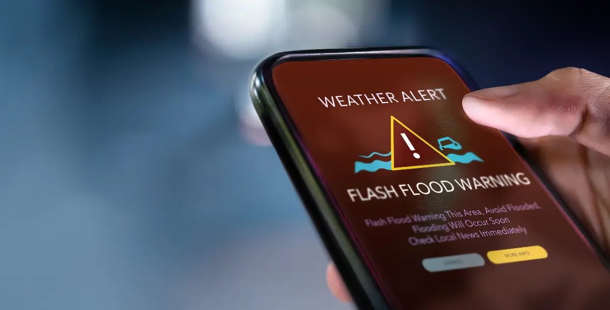Ignoring Weather Forecasts and Warnings