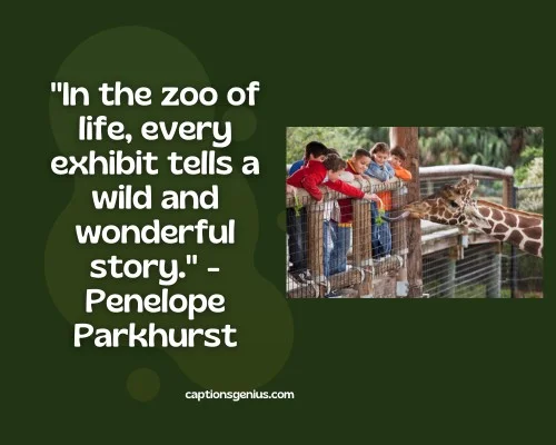 Impressive Quotes About The Zoo -In the zoo of life, every exhibit tells a wild and wonderful story - Penelope Parkhurst