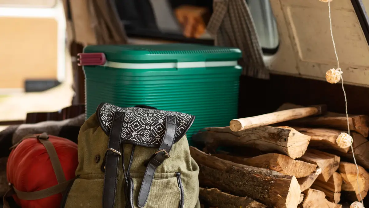 Improper Food Storage in Bear Country