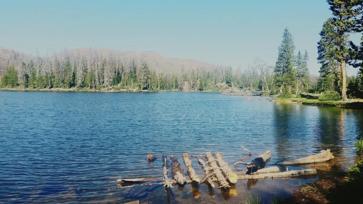 Island Experiences on US Lakes and Inland Waters