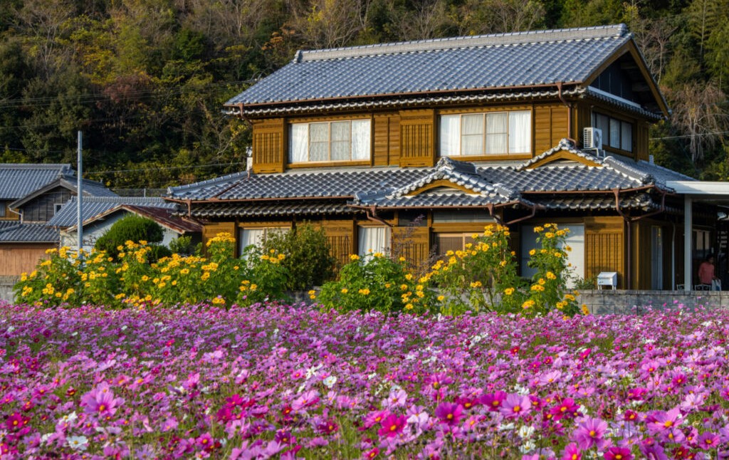  Japan (Regional Revitalization & Akiya Grants)