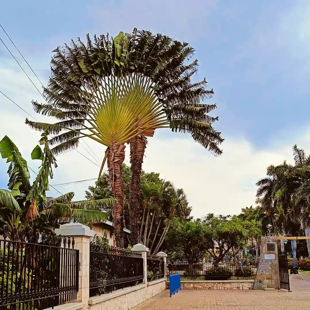 Kingston, Jamaica