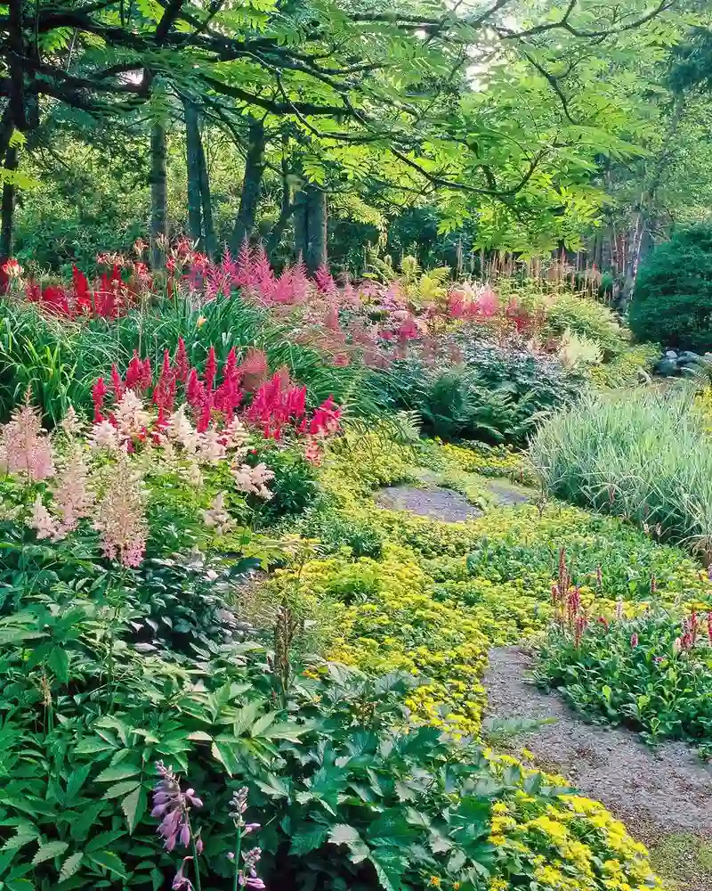 Layered Flower Border Along A Garden Path