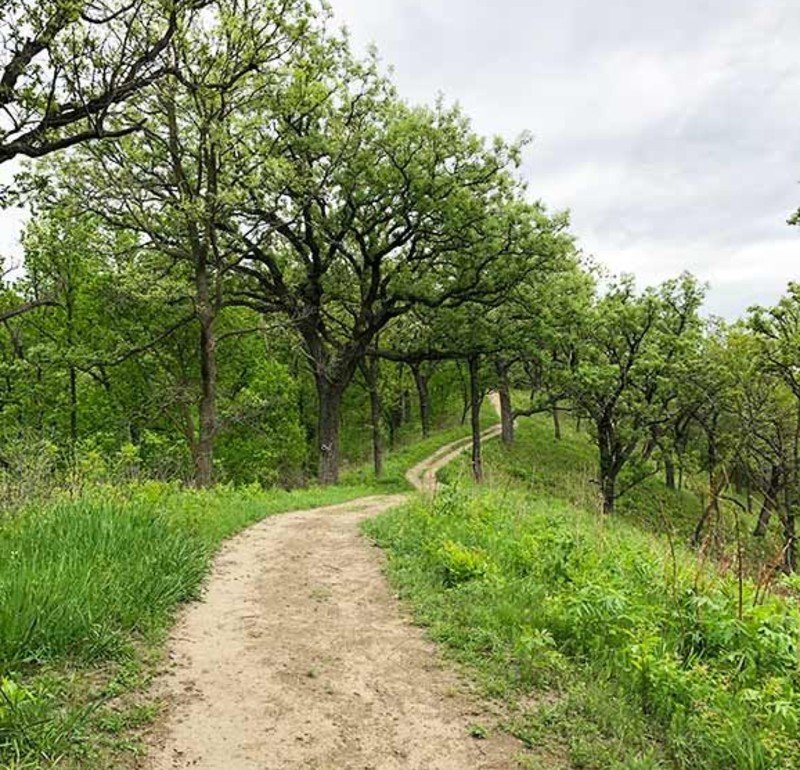 Ledges State Park, Iowa Ledges State Park, Iowa