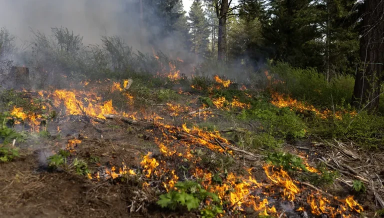 Local Fire Pit Restrictions