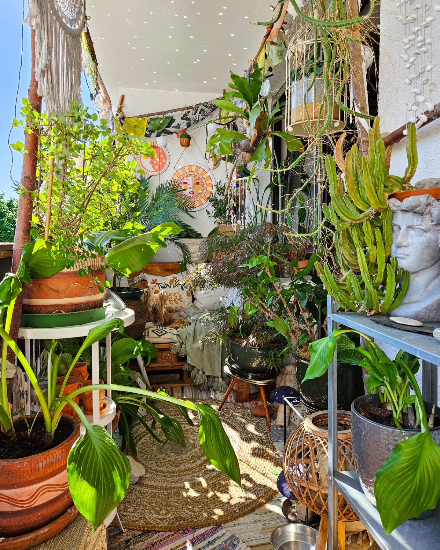 Lush Balcony Sanctuary