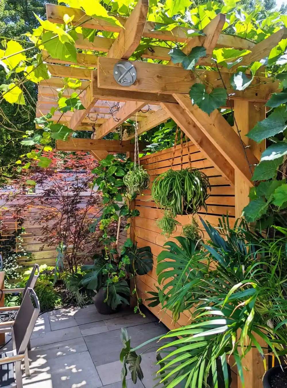 Lush Green Pergola Oasis