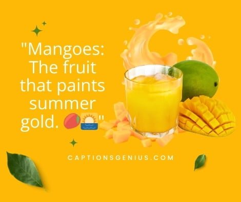 Mango Fruit Captions - Mangoes: The fruit that paints summer gold.