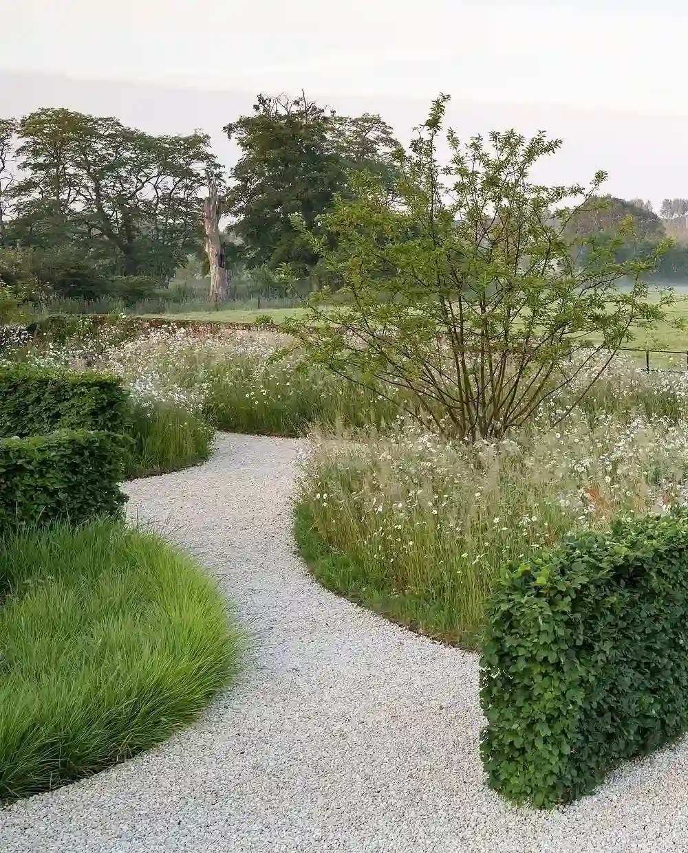 Meadow Meander Gravel Path
