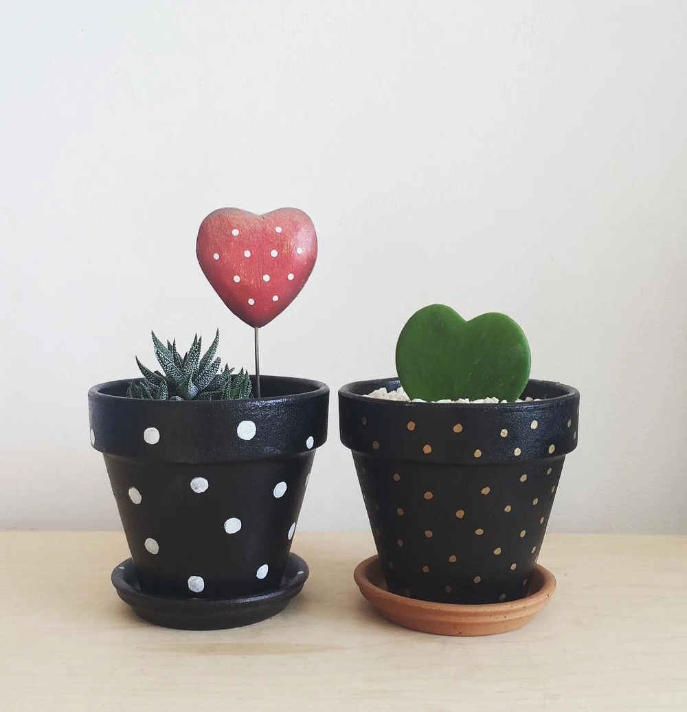 Midnight Polka Dot Succulent Pots