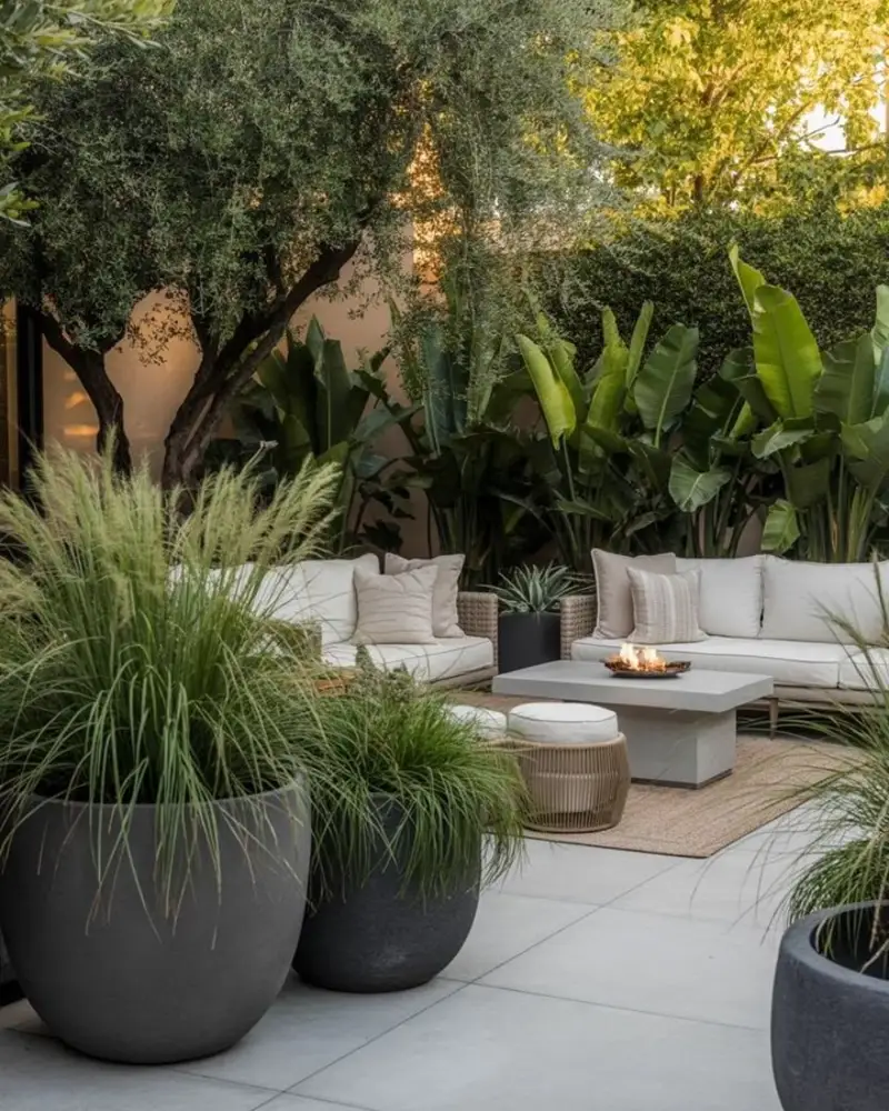 Modern Sofa Circle Under Olive Trees
