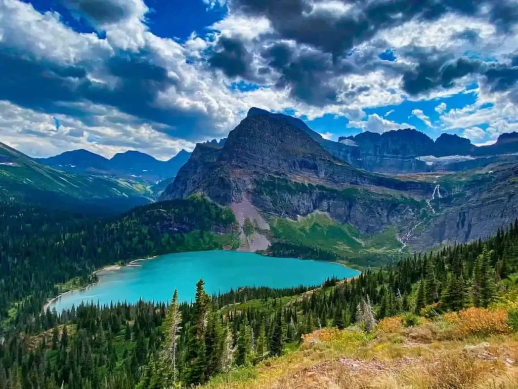  Montana