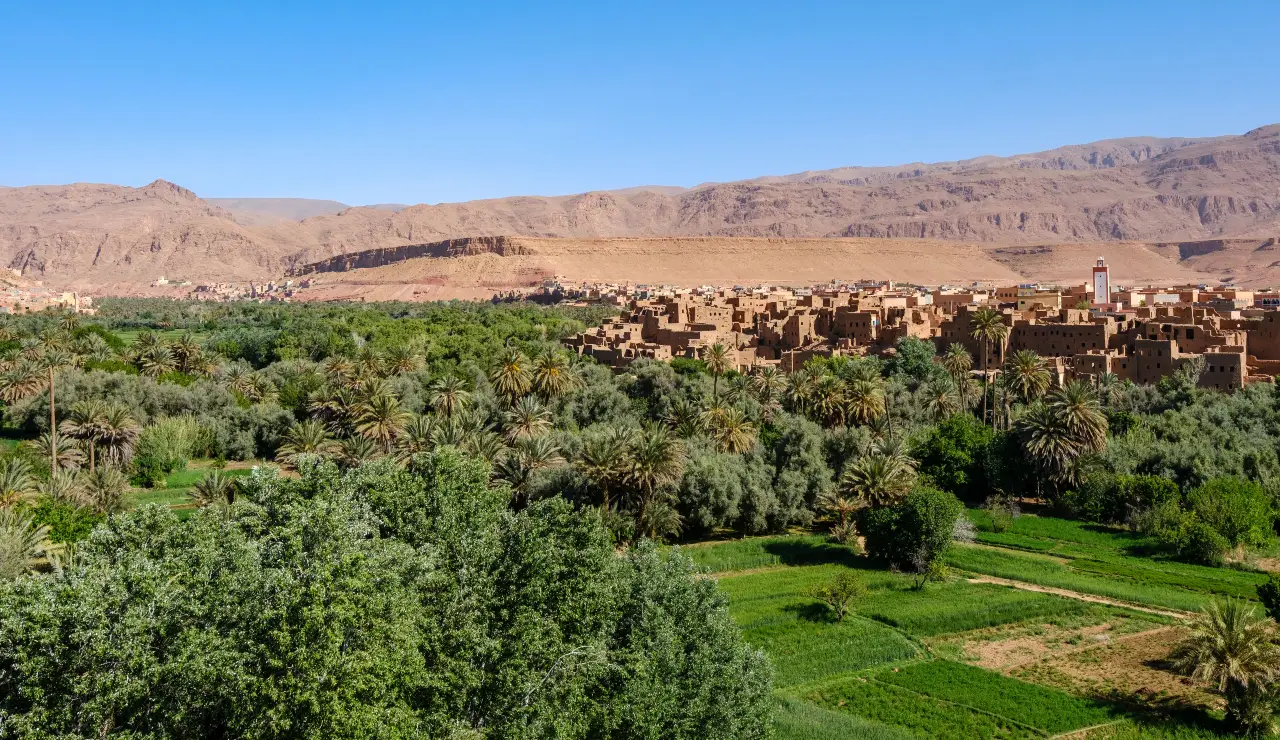 Morocco Can Fit the Budget Outside Premium Areas