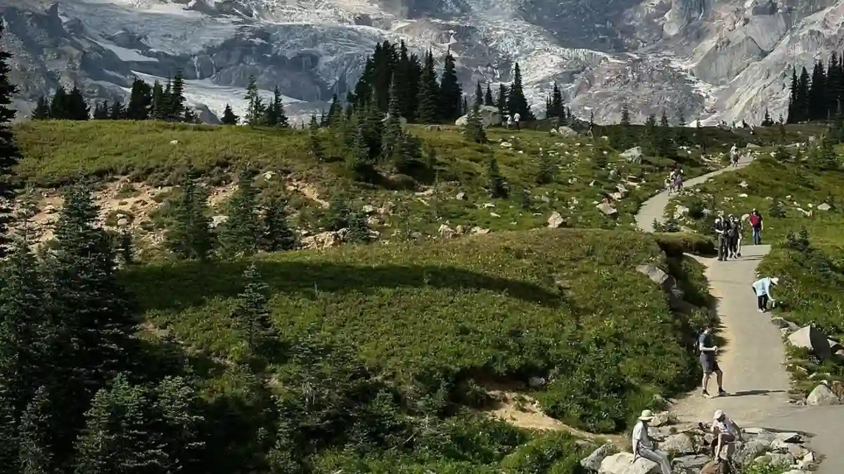 Mount Rainier