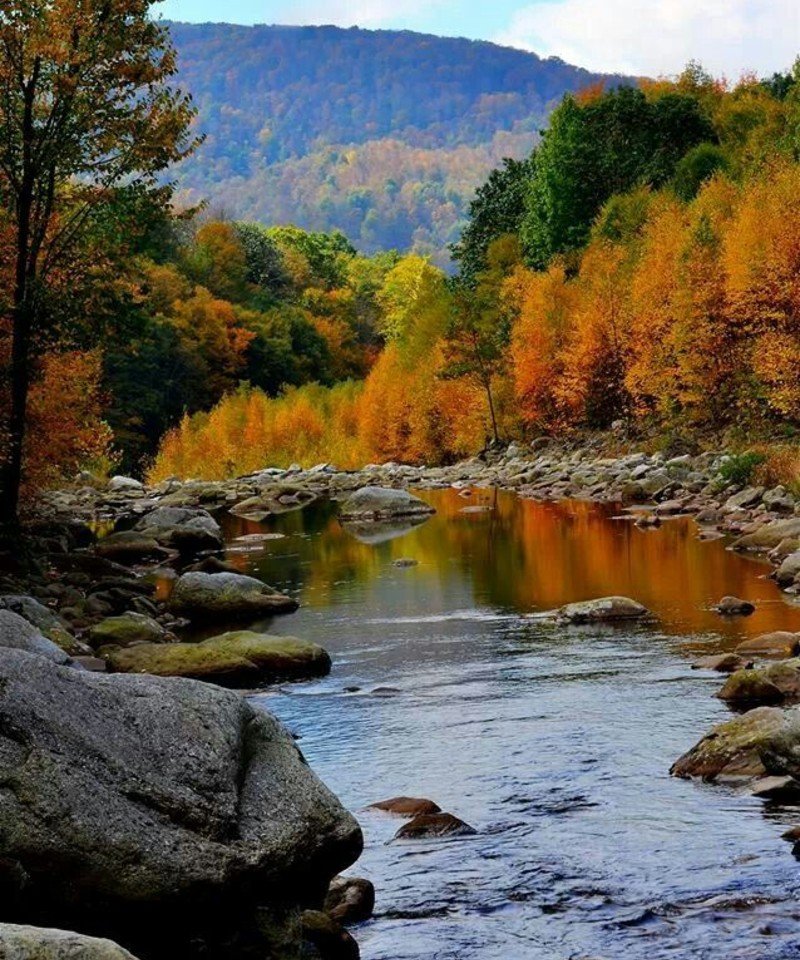 Mountain Lake Wilderness, West Virginia Mountain Lake Wilderness, West Virginia